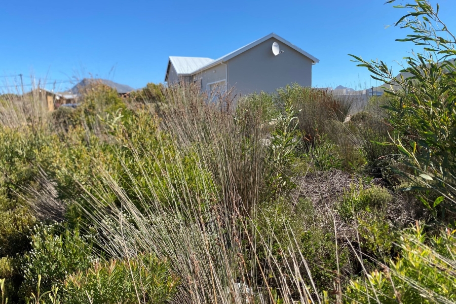 0 Bedroom Property for Sale in Bettys Bay Western Cape
